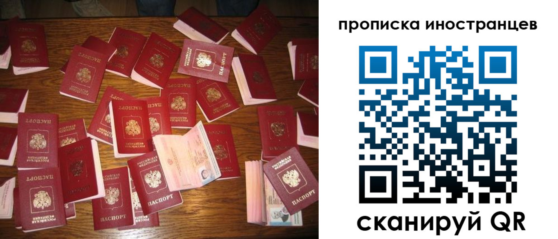 найти адрес прописки в Камешково