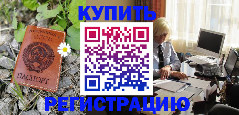 временная регистрация недорого в Камешково